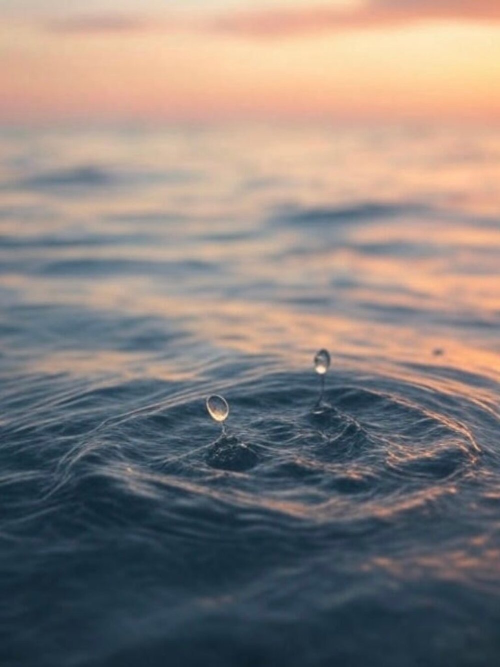 Droplet Collection - Picture 2 of 4